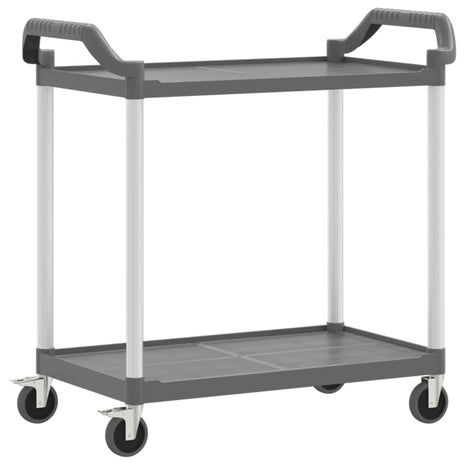 Trolley 2-laags 99x50x97 cm aluminium grijs