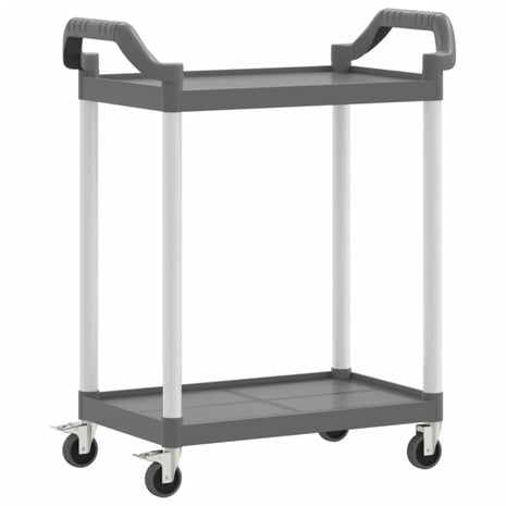 Trolley 2-laags 81x41x92 cm aluminium grijs