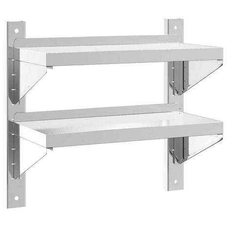 Wandschap 2-laags 50x23,5x48 cm roestvrijstaal zilverkleurig