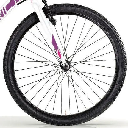 {{ Goedkoop fietsen aantrekkelijk geprijsd }} - {{ Winkelwarenhuis.nl}}