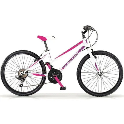 {{ Goedkoop fietsen aantrekkelijk geprijsd }} - {{ Winkelwarenhuis.nl}}